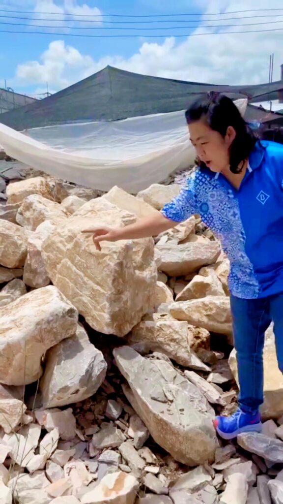 ผนังบ้านหรู