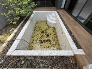 ยาแนวจระเข้